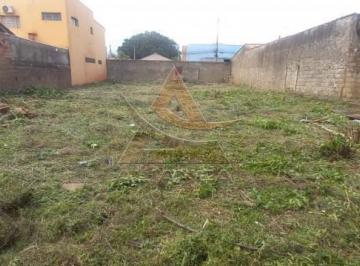 10656-7355667cad-dcd35f9b-e4cd-4122-899f-10c66e010020.jpeg · Terreno Vila Mariana Ribeirão Preto