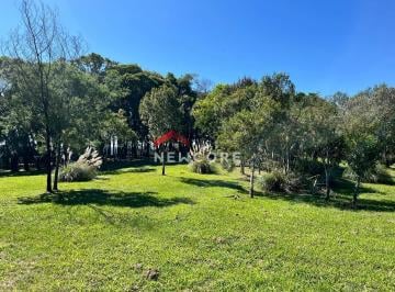 Rural · 1m² · 1 Quarto · Sítio em  Igrejinha - Centro - Igrejinha/RS