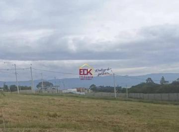 262f639e1f8a33c90e162b7ed11f11e30c673000 · Terreno à venda, 175 m² por R$ 140.000,00 - Água Preta - Pindamonhangaba/SP