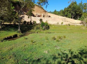 Rural · 20000m² · Sítio lindo próximo ao centro!