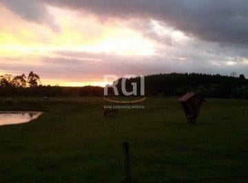 Rural · 71000m² · 3 Quartos · 1 Vaga · Sítio para Venda - 83000m², 3 dormitórios, 1 vaga - Olaria