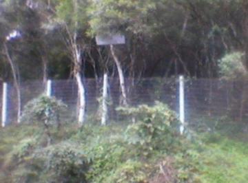 Terreno · 5100m² · Terreno para Venda - 5100m², Ponta Grossa