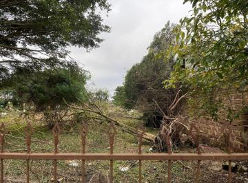 Terreno · 3000m² · Terreno 3.000m² Bairro São João