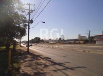 Terreno · 2500m² · Terreno para Venda - 0m², 0 dormitórios, Novo Esteio