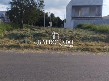 202505090626585015.jpeg · Terreno plano em Extrema MG à venda 200m² Residencial Sierra