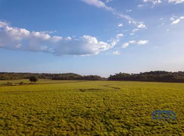 Foto 01 · Sítio/Fazenda à Venda, 18.800 hectares por R$ 360.000.000 Cód. ch2261