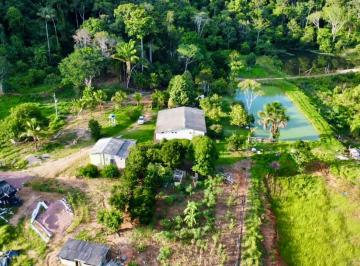 Rural de 3 quartos, Nova Canaã do Norte · Fazenda à beira do rio