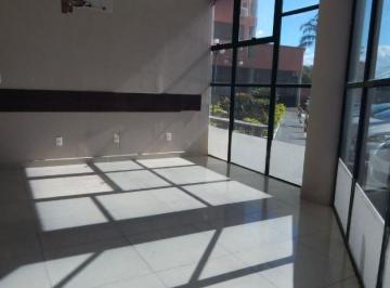 15329_i14BAd4o7Z_15329681aab8660ac6.jpg · Comercial à venda - em Floradas de São José