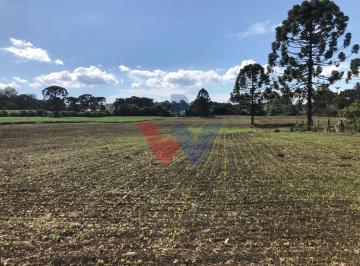 Rural · 19400m² · Fazenda em Tranqueira, Almirante Tamandare/PR de 19400m² à venda por R$ 1.520.000,00