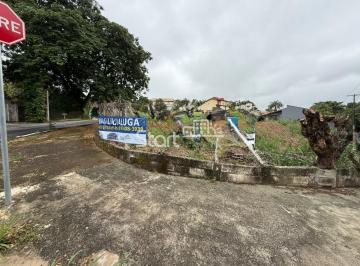 0 · terreno para aluguel em Nova Campinas