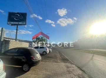 Terreno · 491m² · Lote em  Rs 239 - Alexandria - Parobé/RS