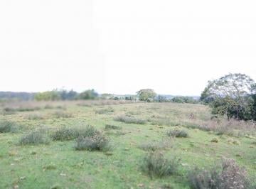694717_irL5Y9N8i817ge3Q8h_694717681e67fd0390e.jpg · Propriedade Rural à Venda - 46 Hectares | Santa Maria/RS