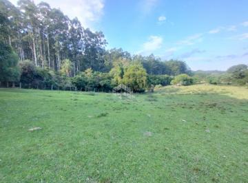 694717_irL5Y9N8i817ge3Q8h_694717681e68171e47e.jpg · Propriedade Rural à Venda - 46 Hectares | Santa Maria/RS