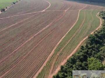 Foto 01 · FAZENDA COM CANA DE 215 ALQUEIRES À VENDA EM ARARAQUARA-SP  - Excelente Oportunidade!