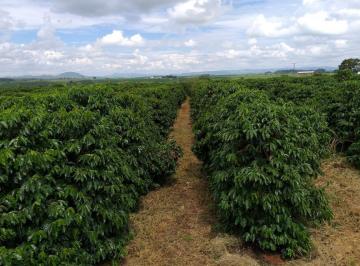 Rural · 145m² · Fazenda à Venda em Piumhi / Minas Gerais - A2