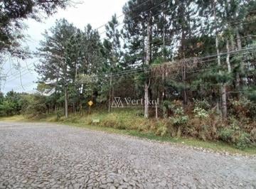 9ae874566abcae3379fe71d005d47ca2cda1fc21 · Terreno à venda Condomínio Paisagem Renoir III na Granja Viana
