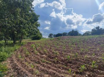 Rural , Cuiabá · FAZENDA A VENDA NO MUNICÍPIO DE CUIABÁ.  MATO GROSSO.