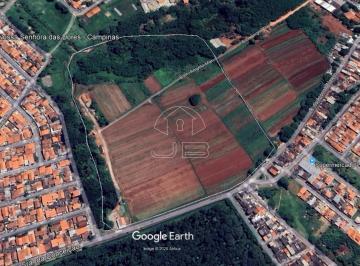 Foto 09 · Área para Venda em Campinas/SP, Bairro Padre Anchieta: 112.000m²