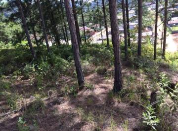 20190719095443911.jpg · Terreno para Venda em Camboriú, Várzea do Ranchinho