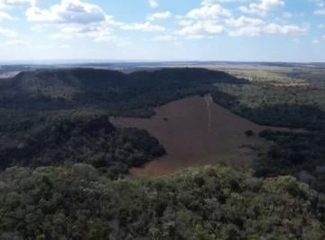Rural , Campo Verde · FAZENDA A VENDA OU PARA ARRENDAMENTO NO MUNICÍPIO DE CAMPO VERDE. MATO GROSSO.