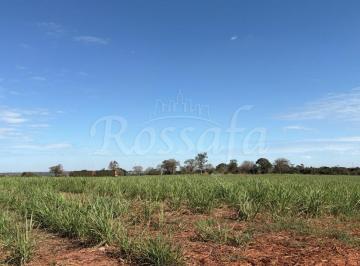 Rural · 1716900m² · Fazenda em Três Fronteiras - Santa Fé do Sul/SP