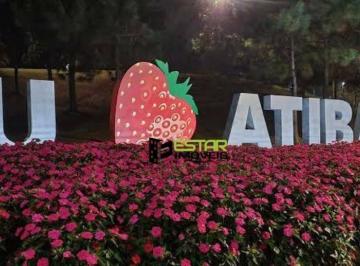 2161e76dafa443f1b026bc408c21f98326da2117 · Terreno à venda, 4500 m² por R$ 450.000 - Jardim Estância Brasil - Atibaia/SP