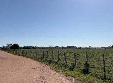 Rural , Quissamã · Imóvel para venda tem 1016400m² em Sitio Quissama - Quissamã - RJ
