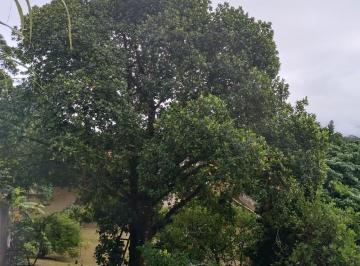 Rural de 2 quartos, São Paulo · VENDO CHACARA 2.100m² COM CASA E POMAR PROXIMO ASFALTO EM ITARIRI-SP ( 4298 )