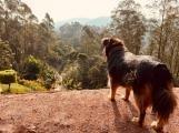 0 · Terreno em Condomínio na Serra da Cantareira com 1900m2  aprovado