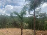 0 · Terreno no Jardim Lago da Cantareira com 4376m²