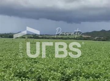 Comercial · 25894000m² · Fazenda, Municipio Vila Propicio, 535 alqueires, podendo dividir e fechar apenas 300 alqueires, dupl