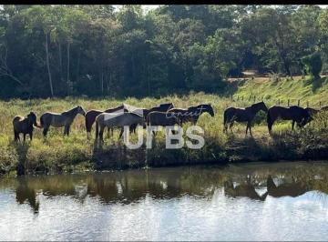 Comercial · 3049200m² · Fazenda Ourinho de Deus - 63 alqueires - 7 km de Santa Tereza - Go