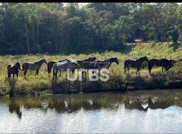 Comercial · 3049200m² · Fazenda Ourinho de Deus - 63 alqueires - 7 km de Santa Tereza - Go