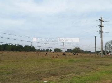 Terreno · 48529m² · Área á venda, 48.529,50 - Itapetininga