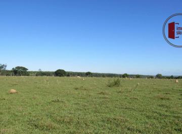 f24ef25cd1d480171c57f2a4646eb9a6fd84acf6 · Fazenda  em Angatuba  com 115 alqueires.