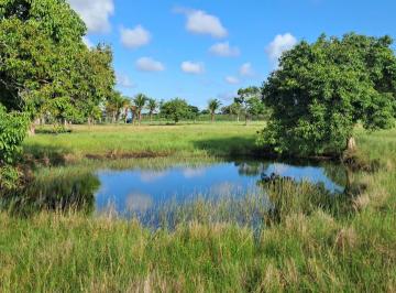 Rural , Quissamã · Fazenda de frente pro asfalto com 33 Alqueires