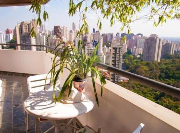 Sem Categoria · Imoveis - no Paraisópolis