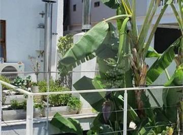 Área de Serviço · Imoveis - na Vila Mariana