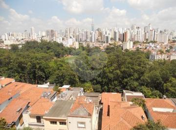Sem Categoria · Imoveis - em Cambuci
