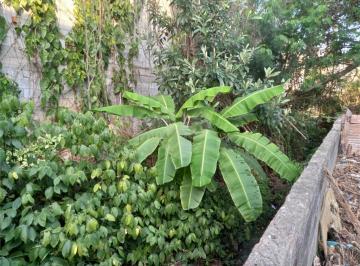 Terreno · 450m² · Terreno à venda em Vila Albertina - SP