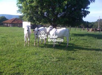 | Foto_migracao | 0 · Fazenda à venda, Buritis - MG -  1.708,14 HA por R$ 15.000.000 - Zona Rural -