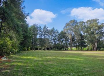 Rural , São José dos Pinhais · Chácara a Venda sem benfeitorias