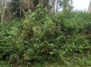 Terreno , Embu-Guaçu · VENDO TERRENO NO CONDOMÍNIO FAZENDA DA ILHA EMBU GUAÇU (CL0024)