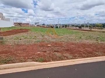 10681-b538570443-whatsapp-image-2025-05-14-at-16-14-53.jpeg · Terreno Condomínio Recreio Anhanguera Ribeirão Preto