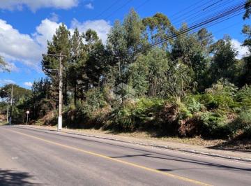 695194_iz6ciR58j_6951946824bc1d61401.jpg · Terreno residencial e comercial em Tamandaré