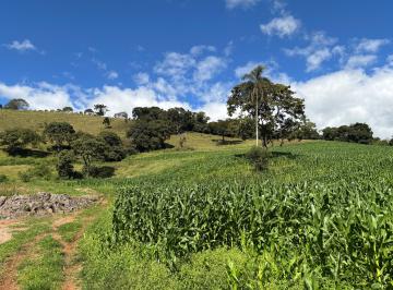 Terreno , Paraisópolis · Terreno rico em água com topografia excelente - 5.5 alqueires