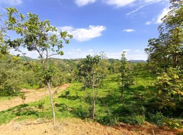 Terreno · 3m² · Terreno 2.7 Ha à Venda no Bom Jardim, em Azurita | JUATUBA IMÓVEIS |