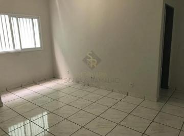 Apartamento · 60m² · 1 Quarto · 1 Vaga · Apartamento padrão para Locação no Bairro Vila Monte Alegre, em Ribeirão Preto