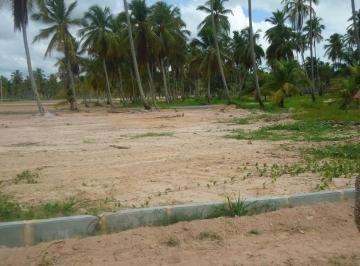 2 Lotes de 200m em Loteamento na Praia de São José da Coroa Grande · 2 Lotes de 200m em Loteamento na Praia de São José da Coroa Grande