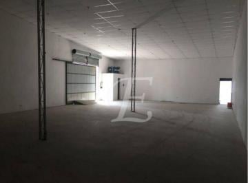 e45954818d69ebcfad5e257128a0e9a5dfd1d9eb · Vendo Galpão com 5 vagas, 300 m², por R$ 1.280.000 - Jardim Peri - São Paulo/SP
